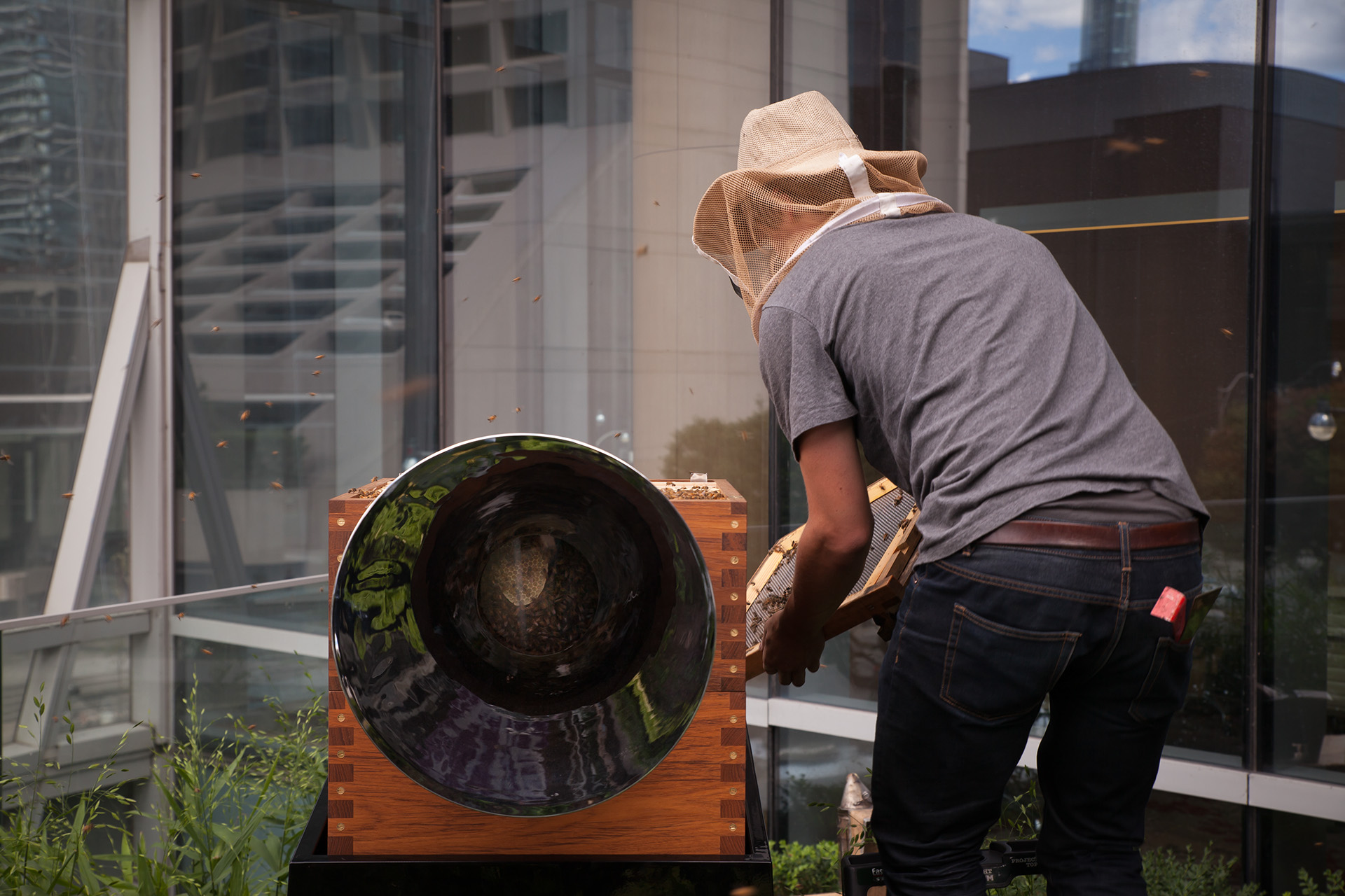 product design，Honeycomb design，Bee wall，