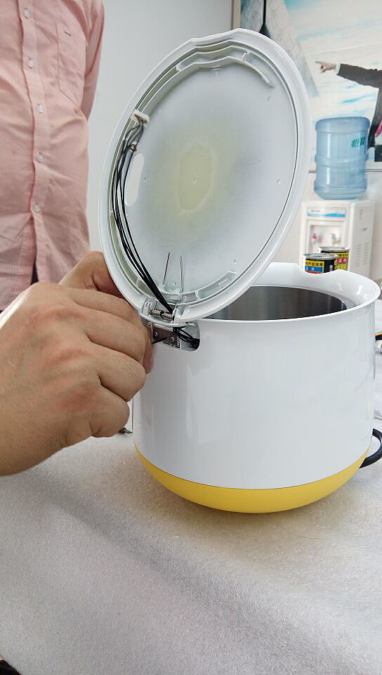 Egg Cooker，white，egg，hen，Hot spring egg，household electrical appliances，machine，