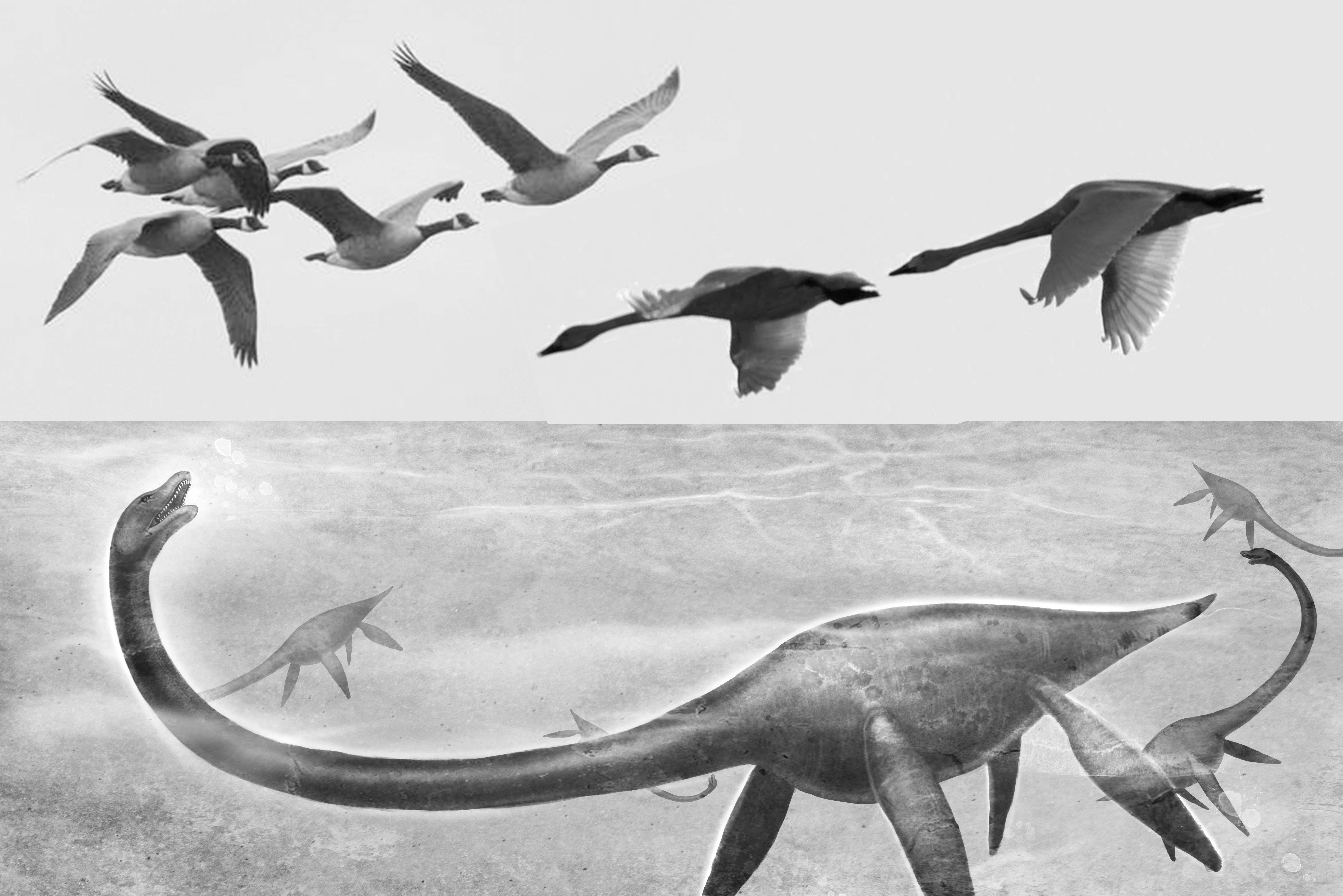 Conceptual aircraft design，