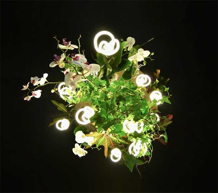 Lamp design，Mellow，