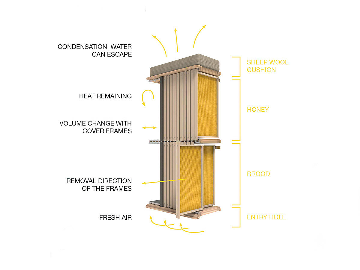 Nest chamber，originality，outdoors，