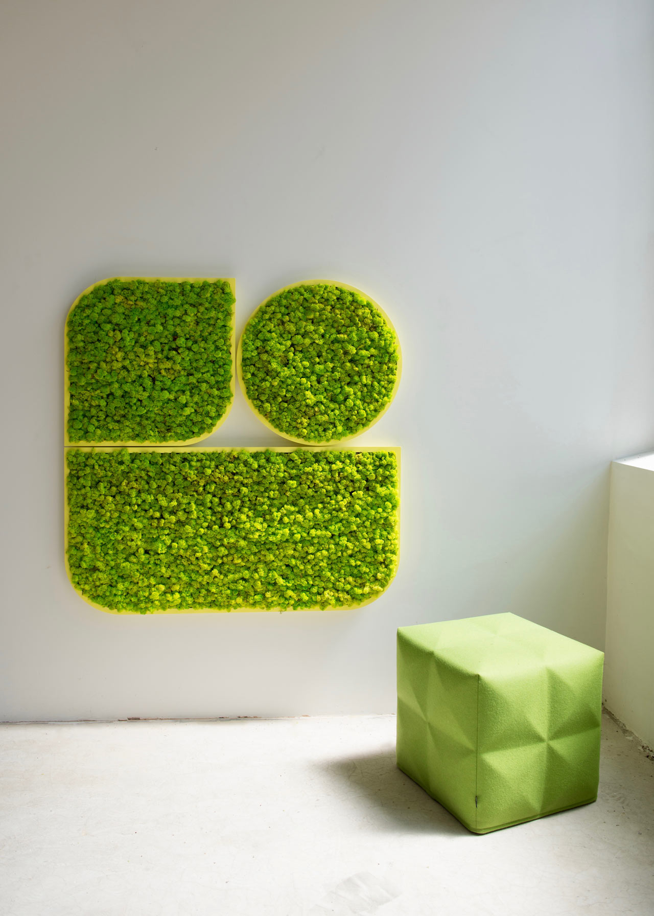 BuzziMood，natural，Botany，