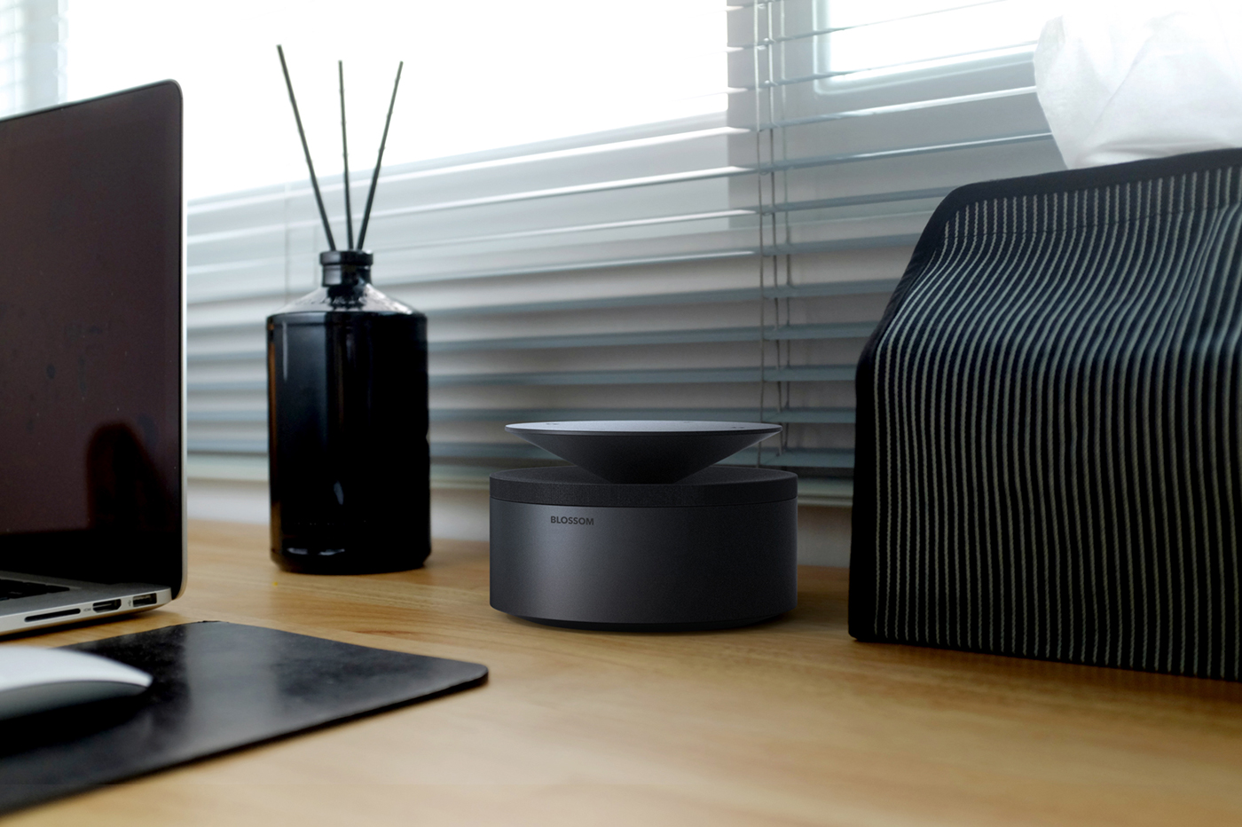 Portable，LEXON，BLOSSOM，Bluetooth，loudspeaker box，