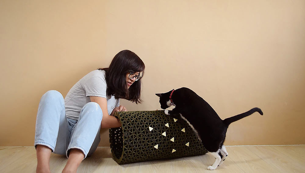 Peek A Boo，Pets，Kitty，chair，