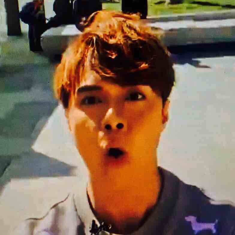 classic，emoticon，Zhang Jingxuan，