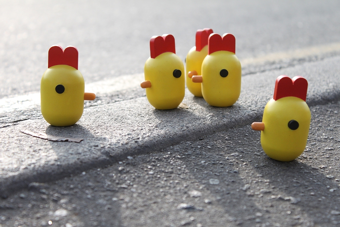 Lego，geometry，animal，Building blocks，