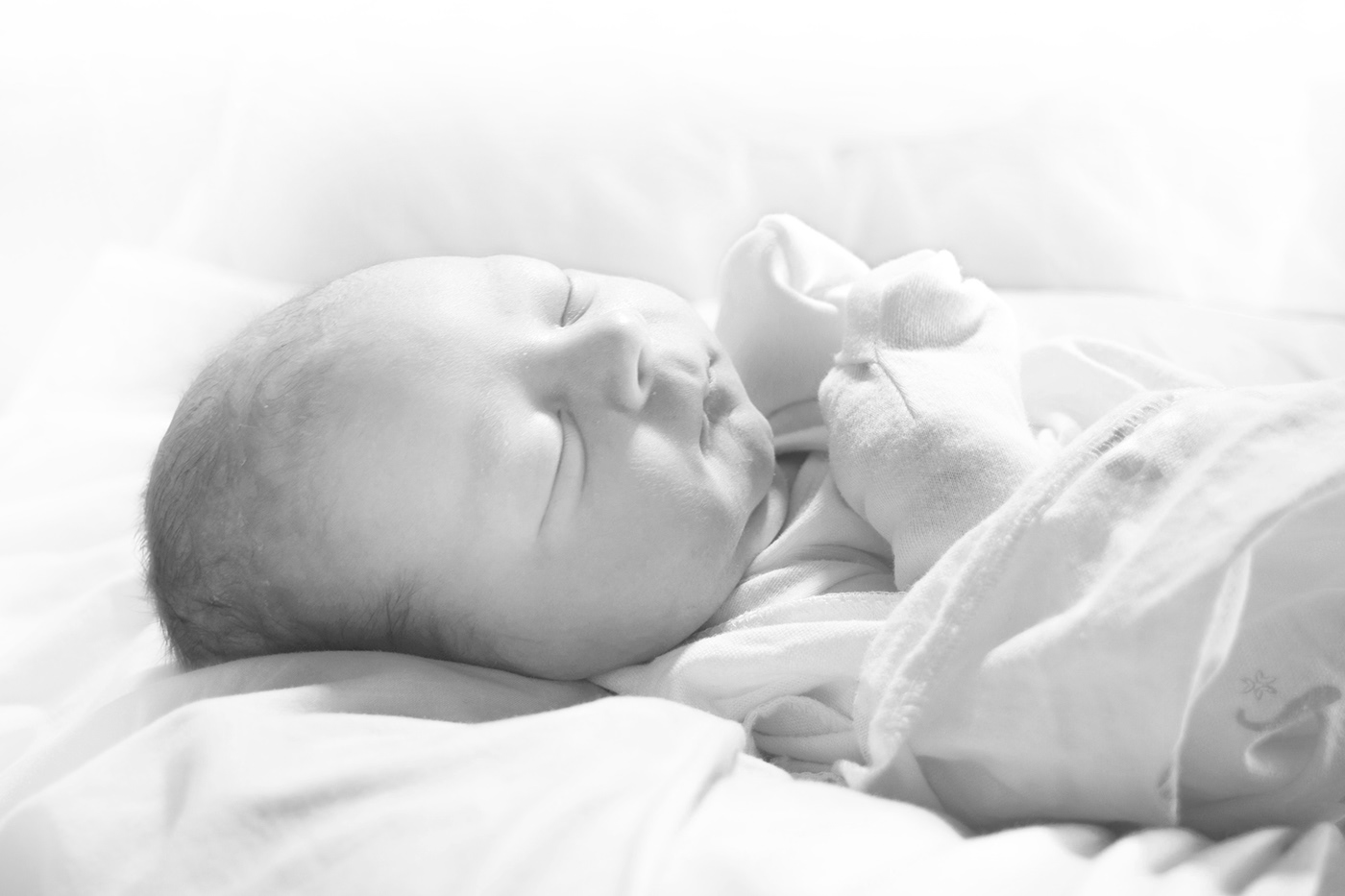 hardwood，Dental gum，baby，silica gel，Chewy，