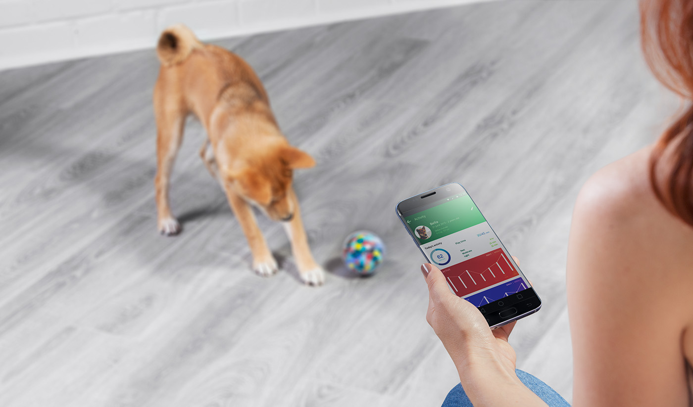 Pet robot，intelligence，Pebby，