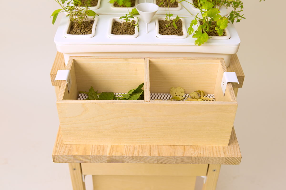 Hydroponic culture，Julia Kusa，Glass，ceramics，Metal，wood，