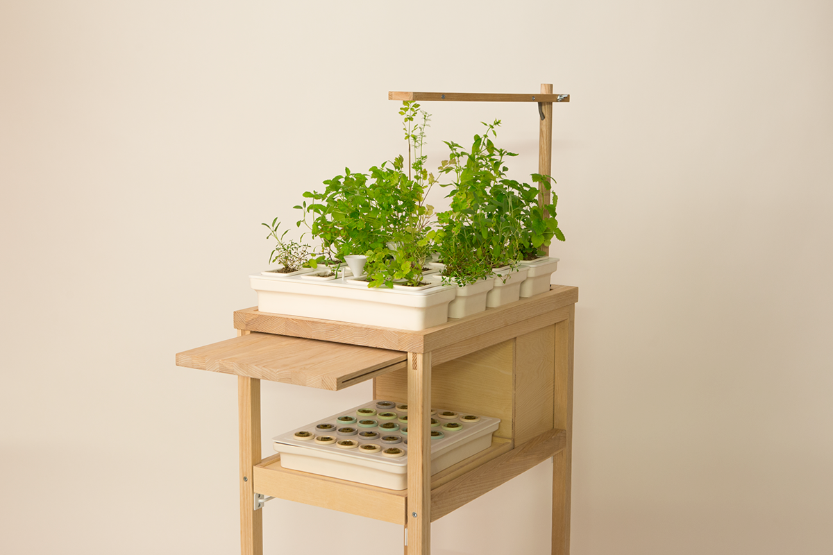 Hydroponic culture，Julia Kusa，Glass，ceramics，Metal，wood，