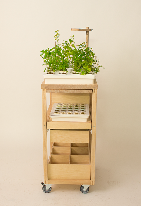 Hydroponic culture，Julia Kusa，Glass，ceramics，Metal，wood，