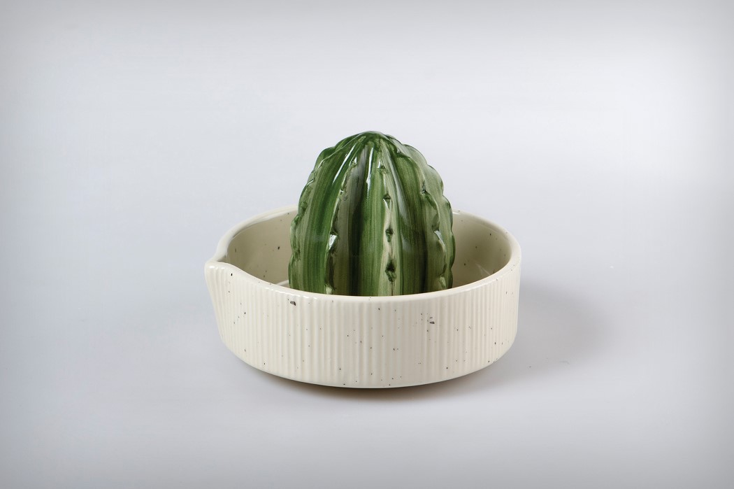cactus，citrus，Flowerpot，Juicer，ceramics，