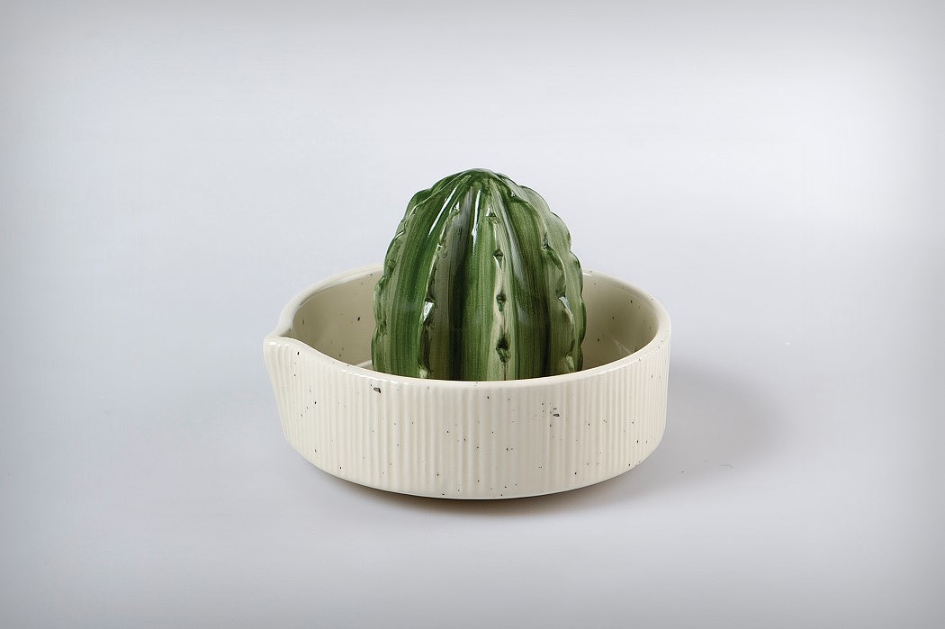 cactus，citrus，Flowerpot，Juicer，ceramics，