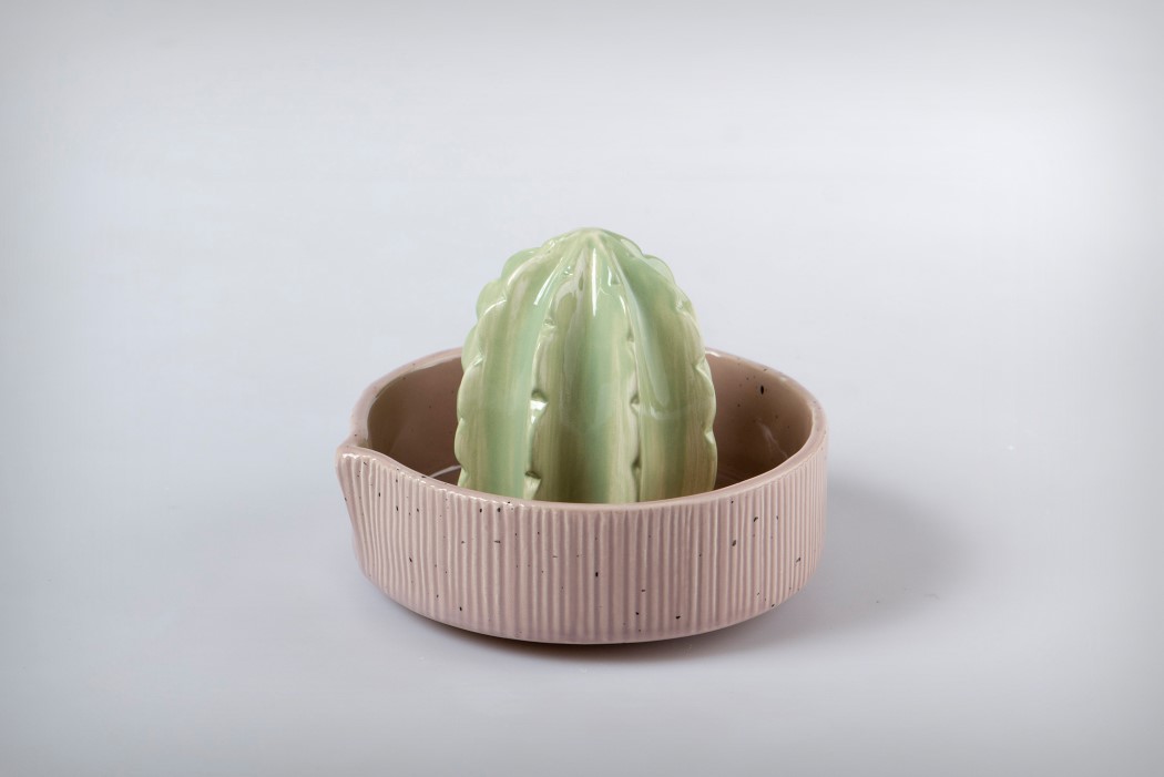 cactus，citrus，Flowerpot，Juicer，ceramics，