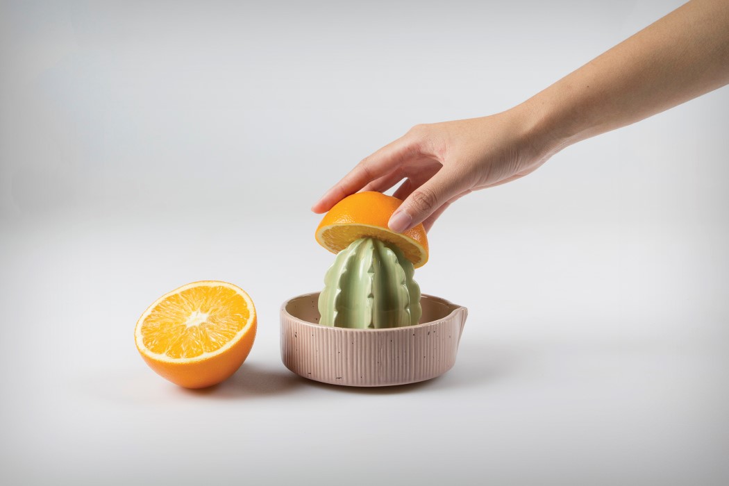 cactus，citrus，Flowerpot，Juicer，ceramics，