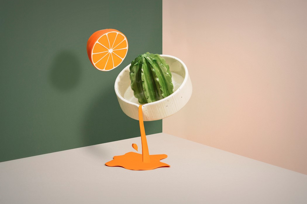 cactus，citrus，Flowerpot，Juicer，ceramics，