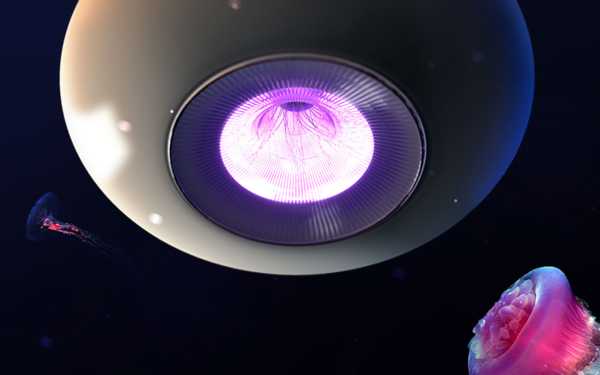 Lamp design，woodiness，