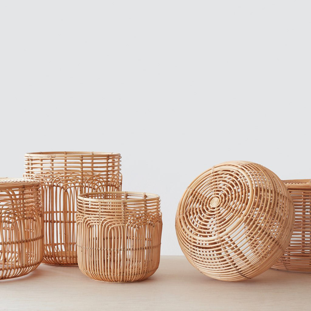 organization，ecology，