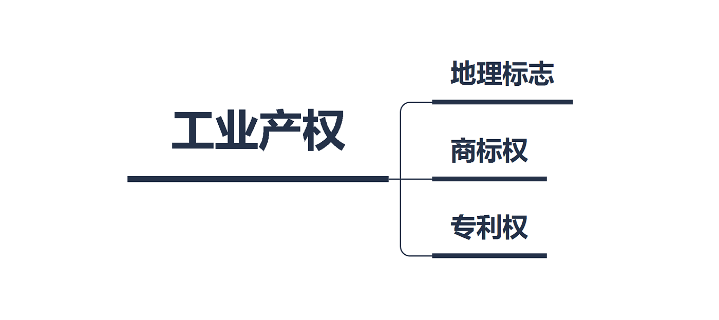 copyright，intellectual property right，patent，dried food，