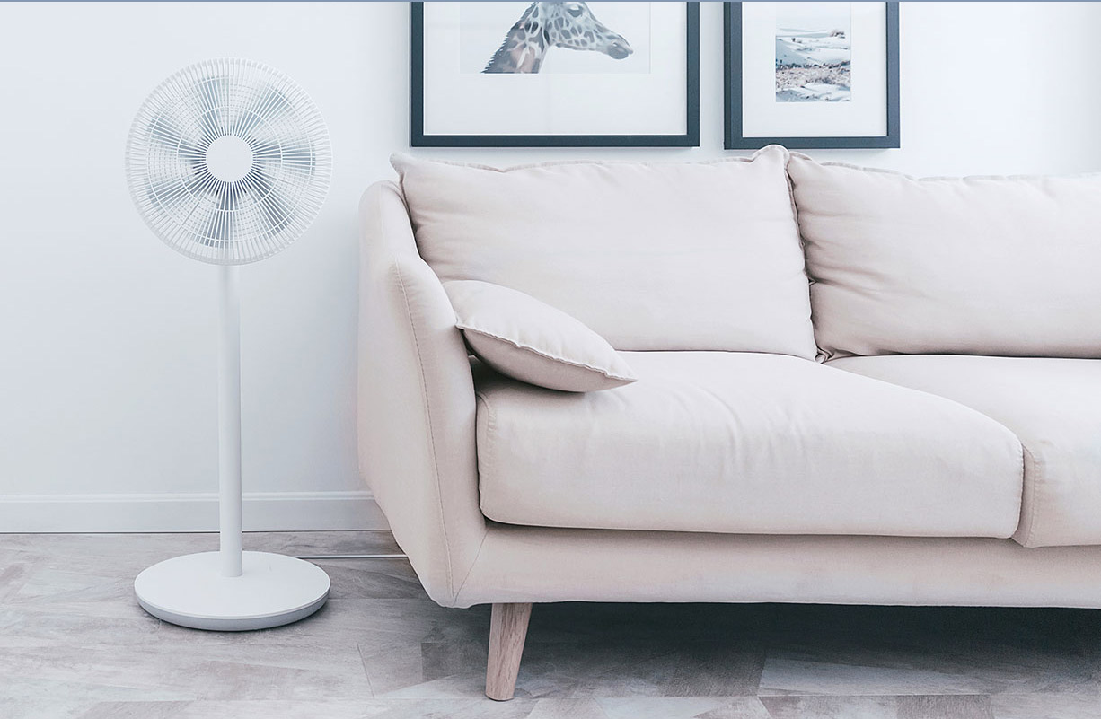 millet，Household Electric Appliances，pedestal fan，product design，