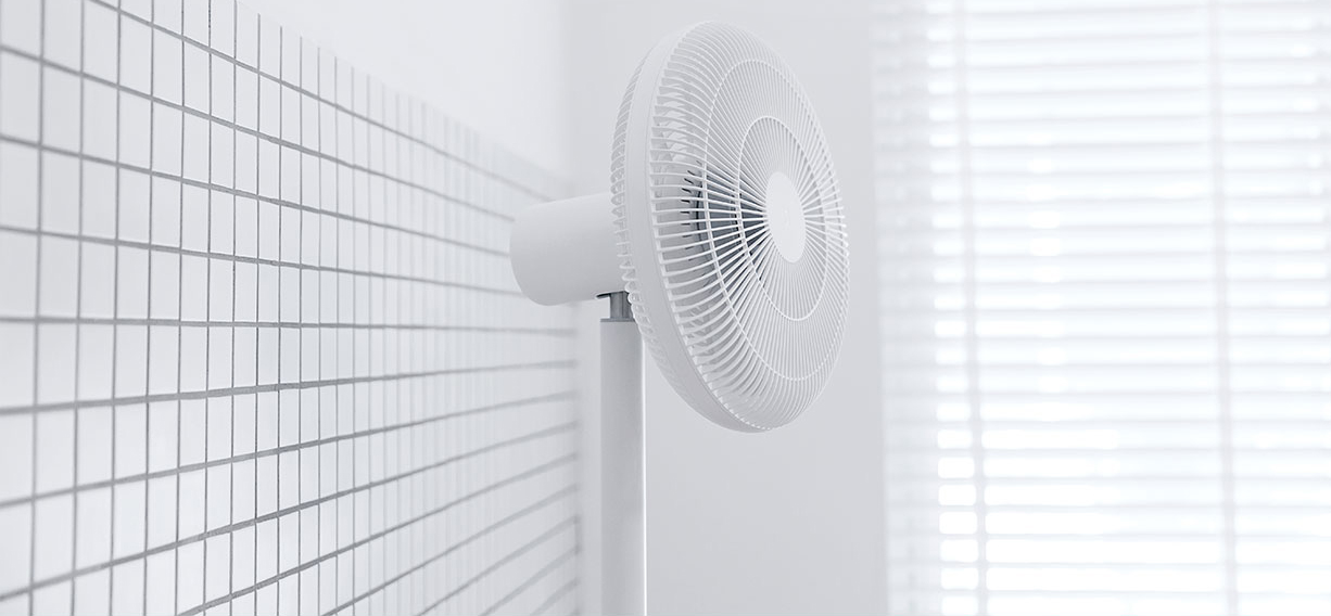 millet，Household Electric Appliances，pedestal fan，product design，