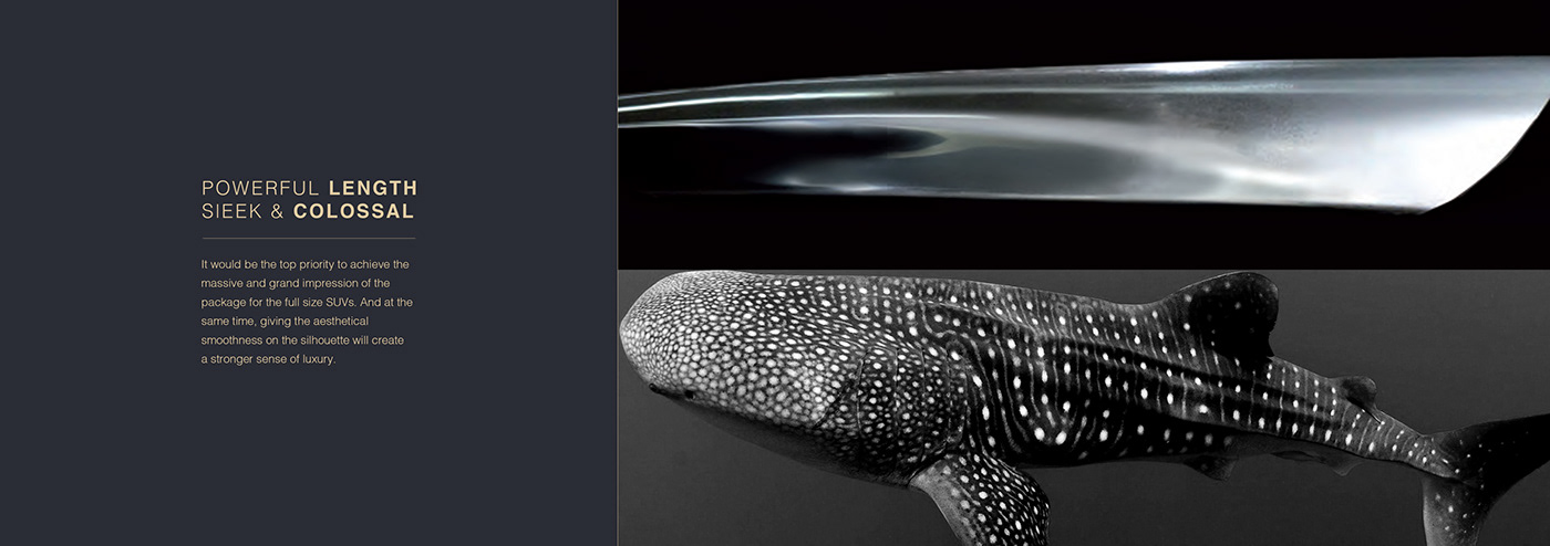 Sports car，vehicle，mountain，Citroen，Ferrari，