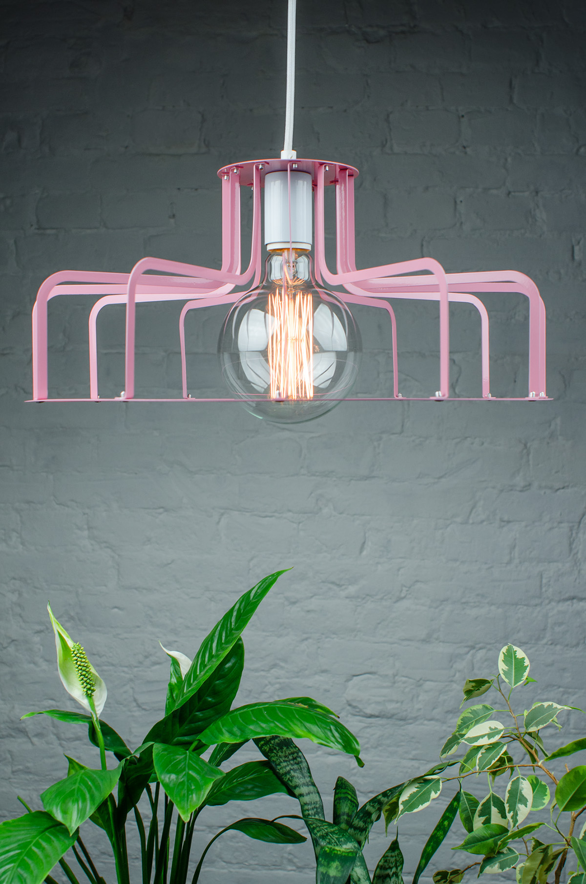 Pink，Lighting，lamps and lanterns，spider，