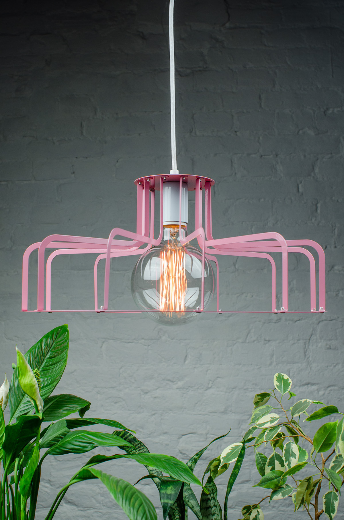 Pink，Lighting，lamps and lanterns，spider，