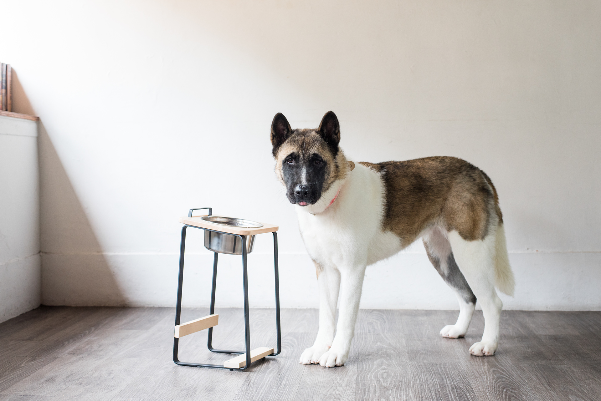 Pets，product design，