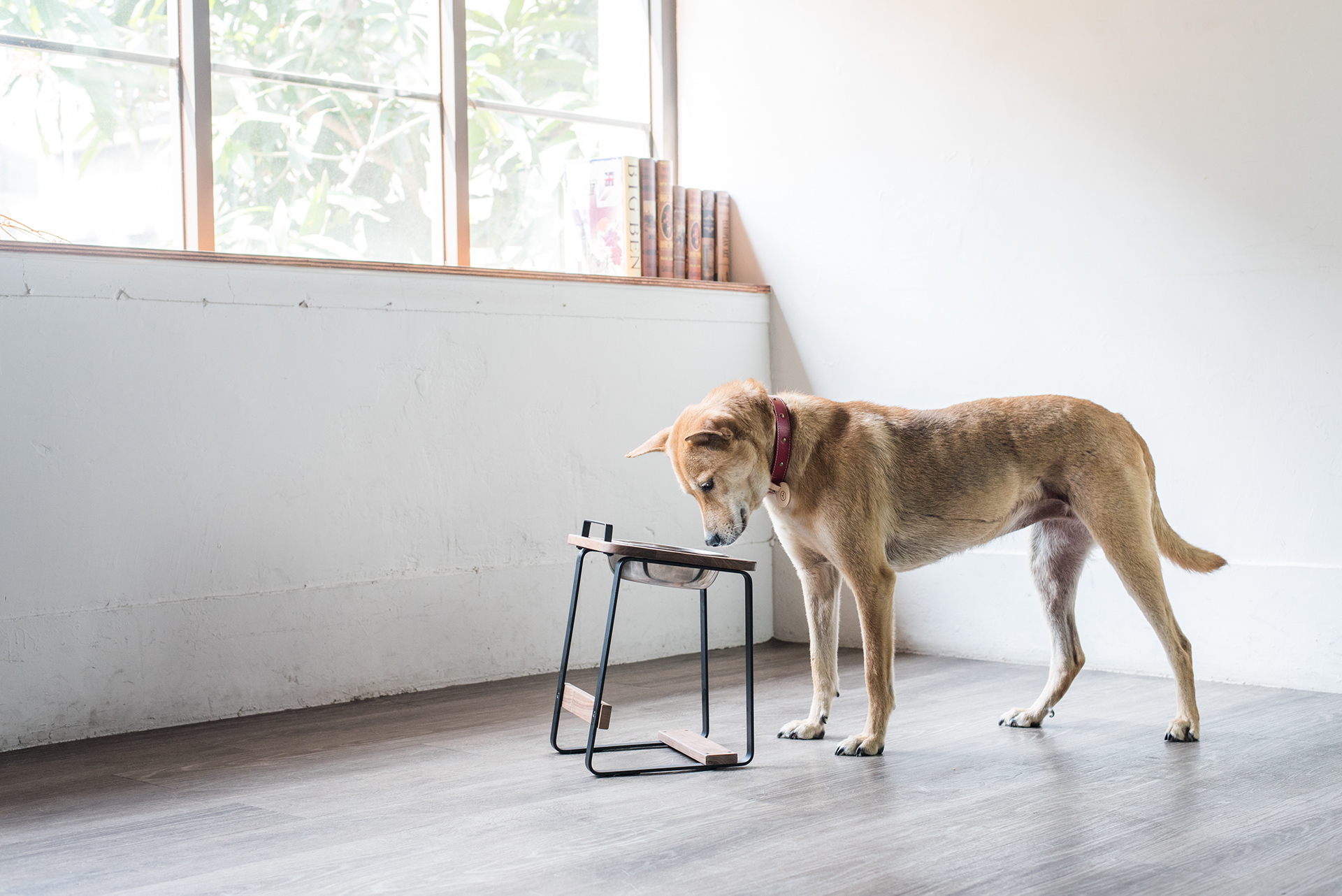 Pets，product design，