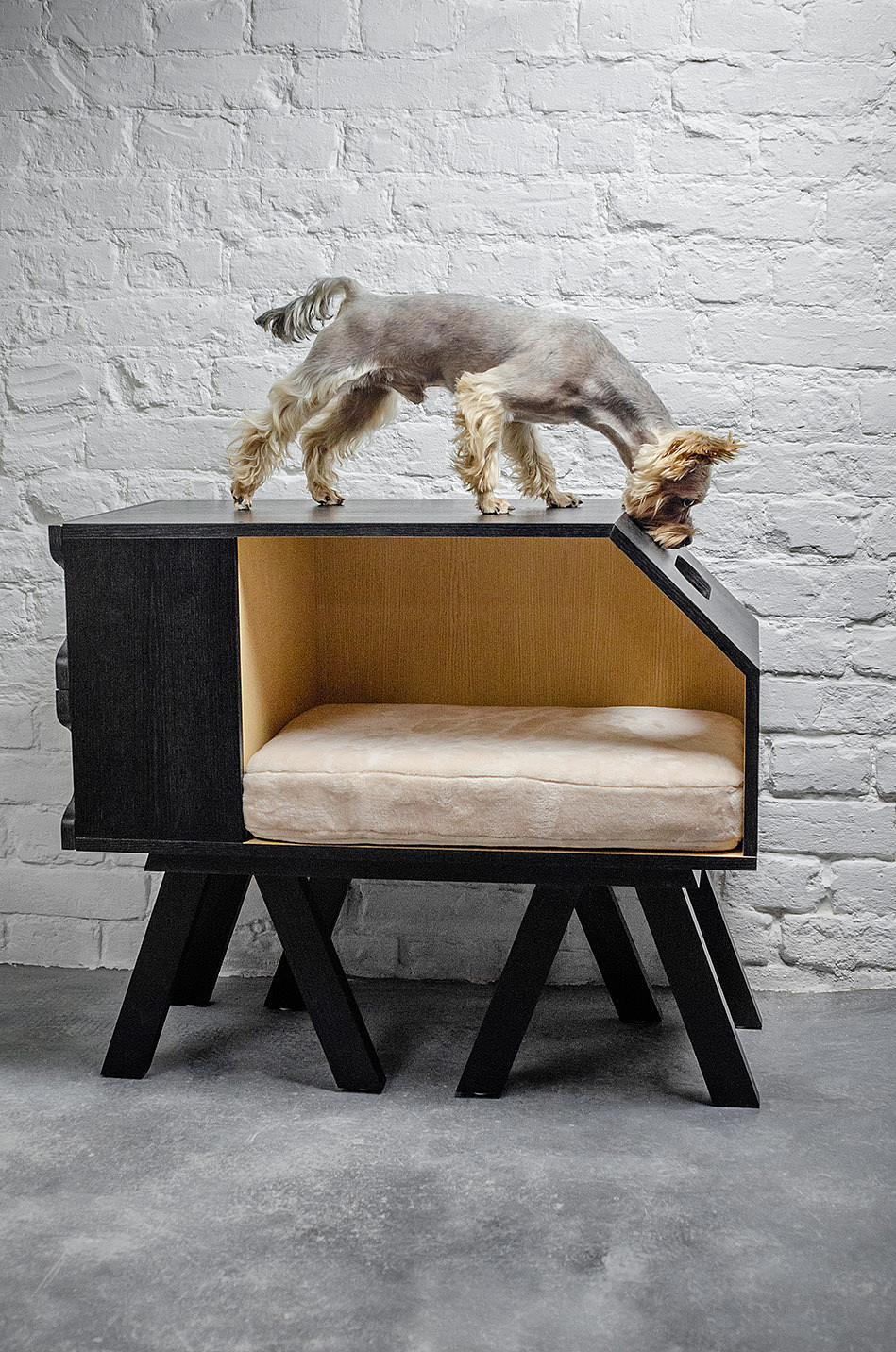 D&C house，bedside cupboard，Pets，Pet nest，nest，house，bookshelf，