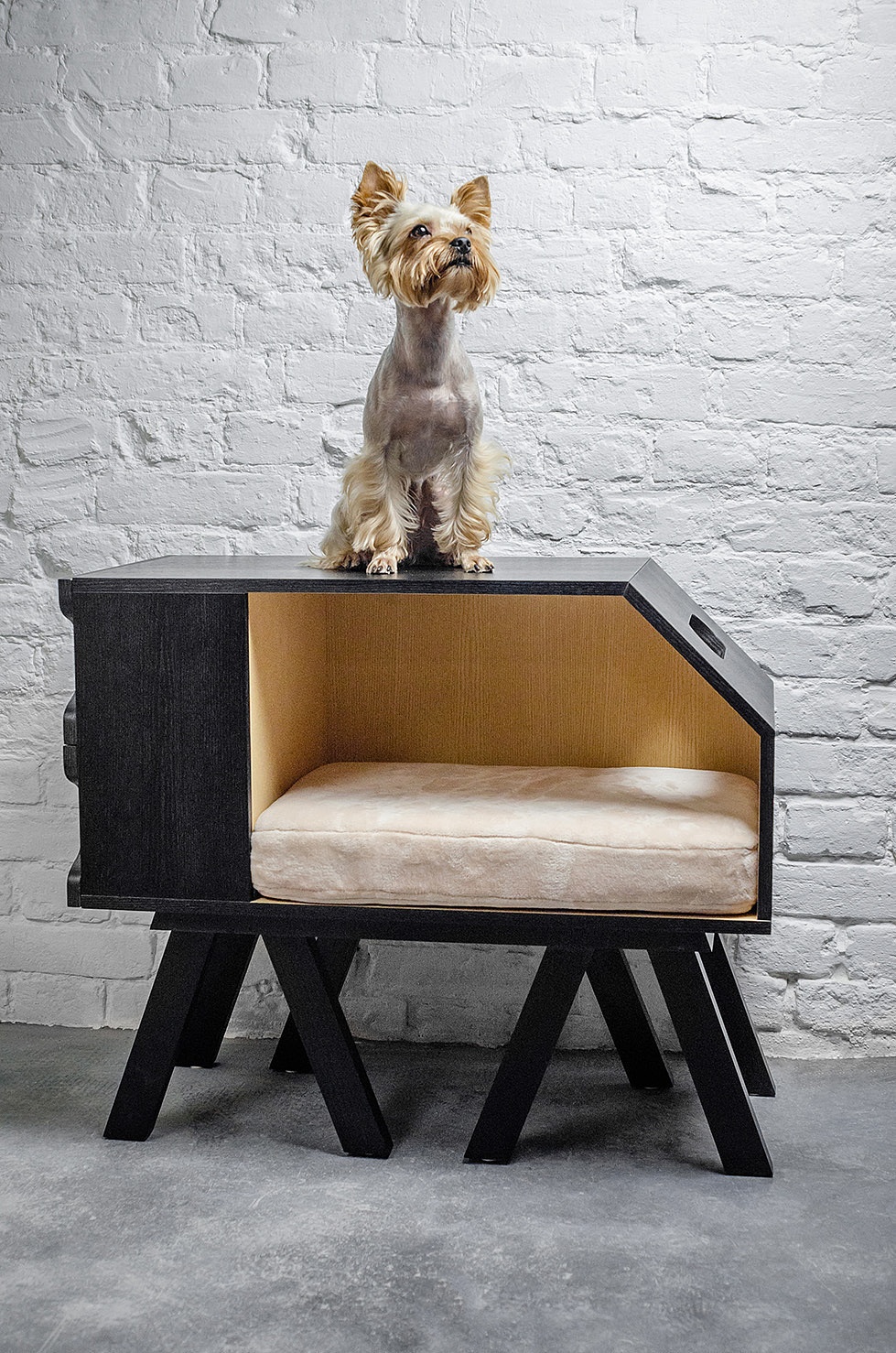 D&C house，bedside cupboard，Pets，Pet nest，nest，house，bookshelf，
