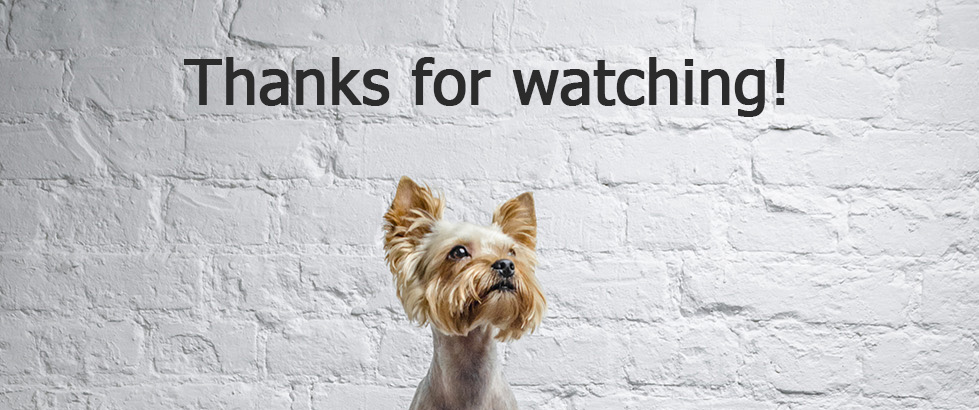 D&C house，bedside cupboard，Pets，Pet nest，nest，house，bookshelf，