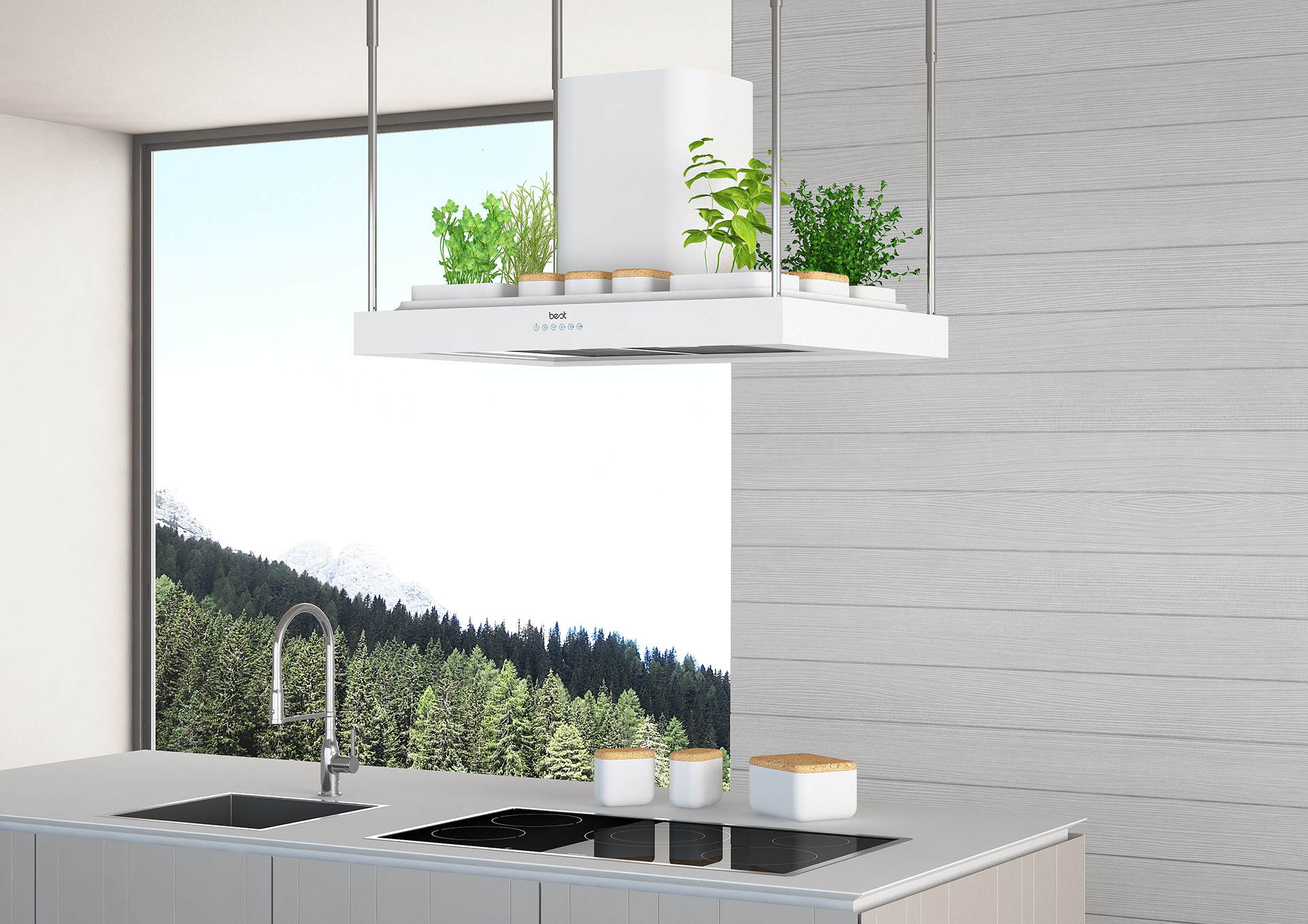 vegetable & fruit，Range hood，