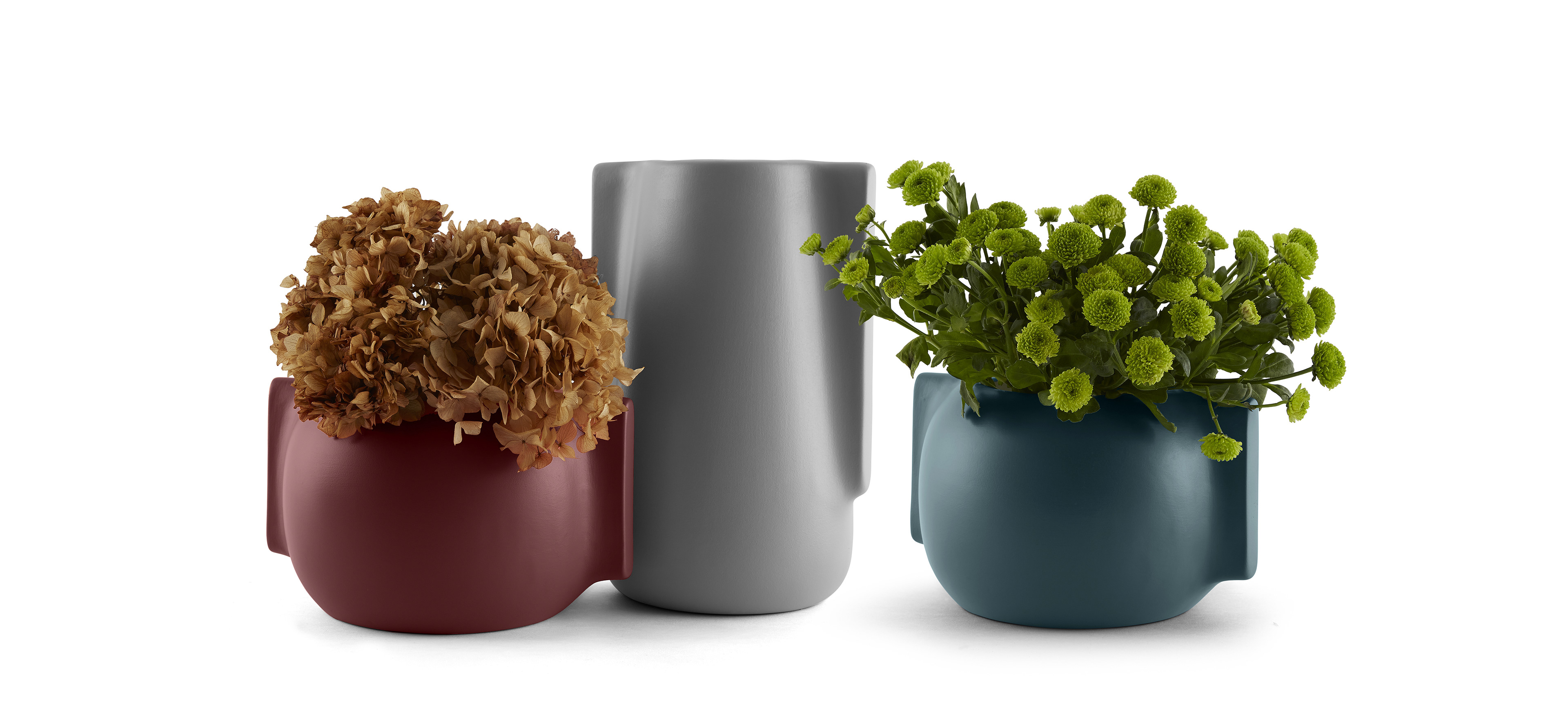 moa，vase，Tao Tu，