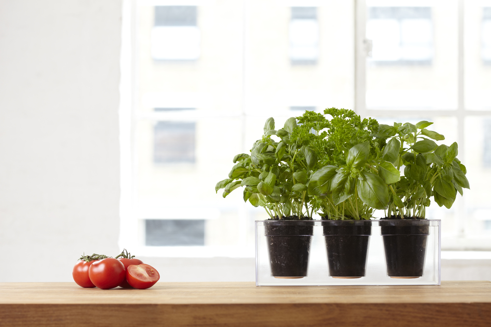 Acrylic plate，Boskke Cube，Flowerpot，