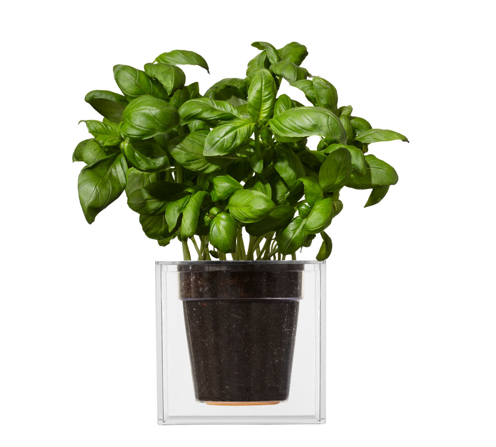 Acrylic plate，Boskke Cube，Flowerpot，