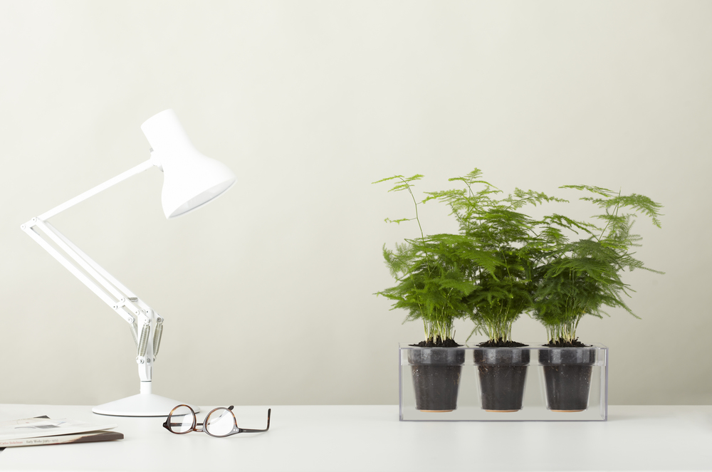 Acrylic plate，Boskke Cube，Flowerpot，