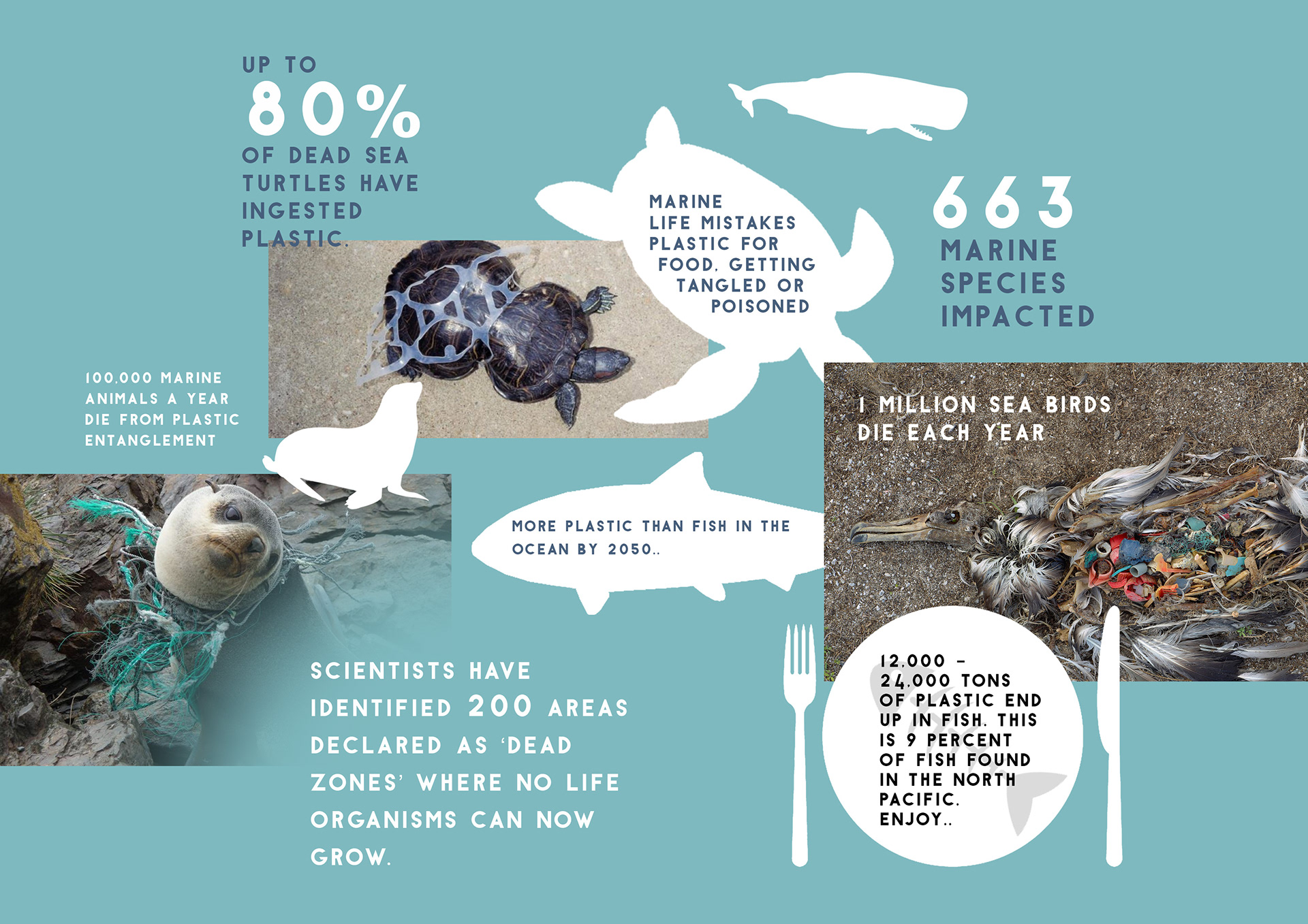 Parley，Plastic collection，Yacht Design ，