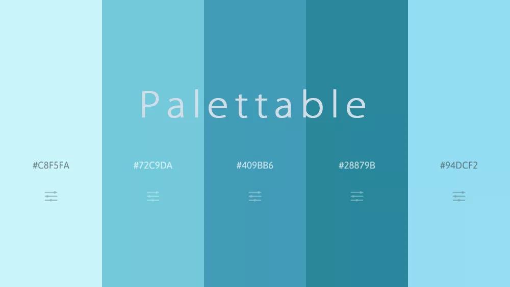 study，dried food，Color matching，website，