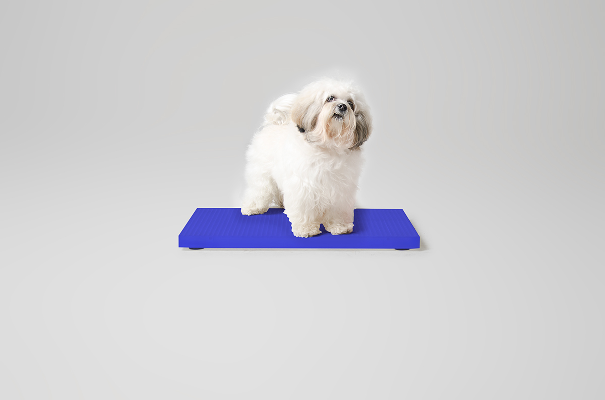 Pet Supplies & Pet，product design，originality，industrial design，