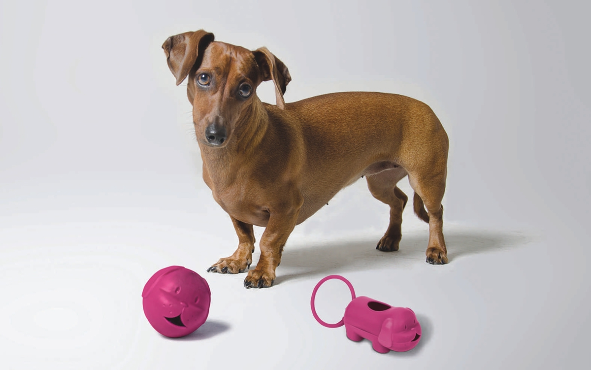 Pet Supplies & Pet，product design，originality，industrial design，