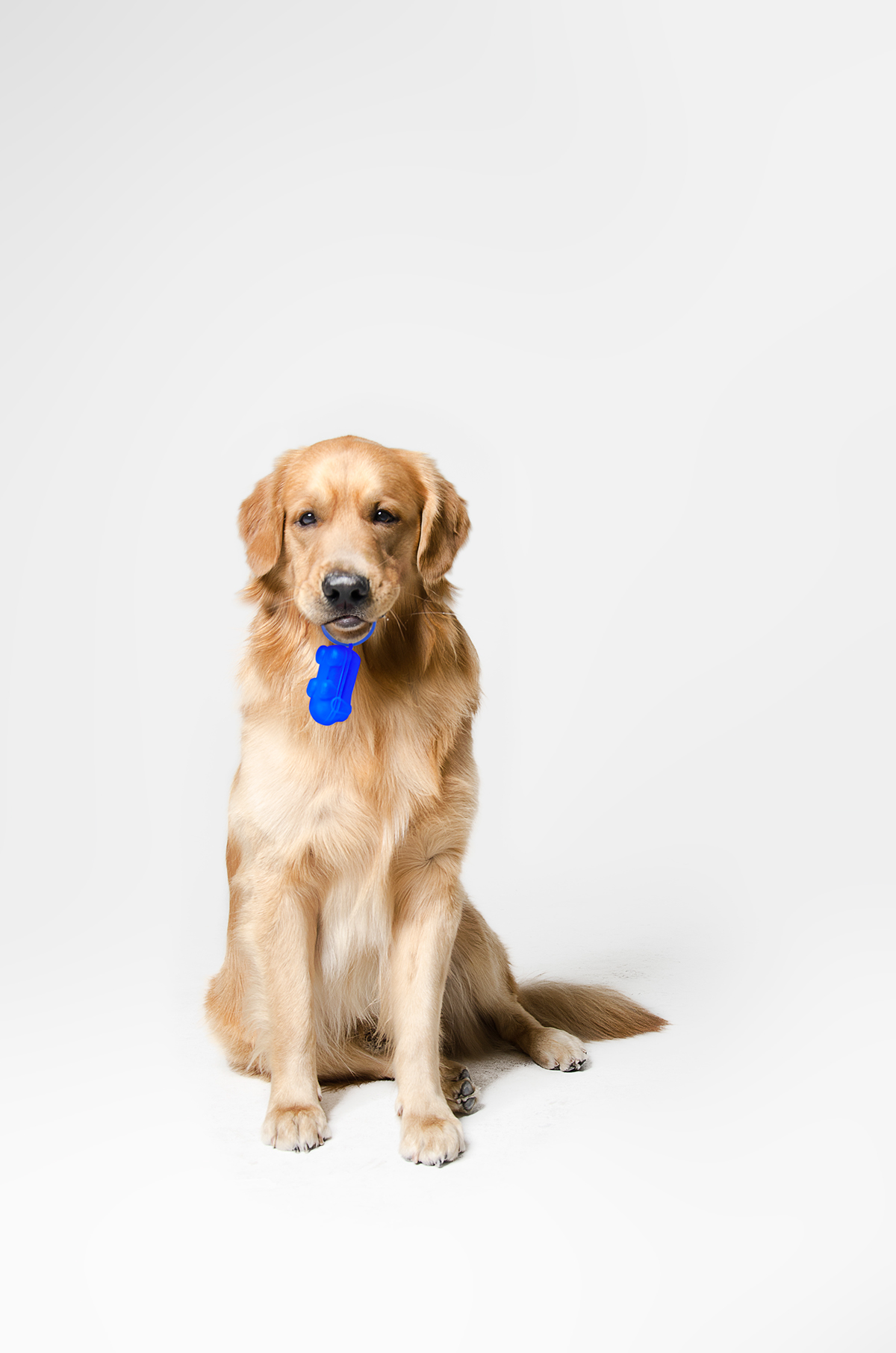 Pet Supplies & Pet，product design，originality，industrial design，