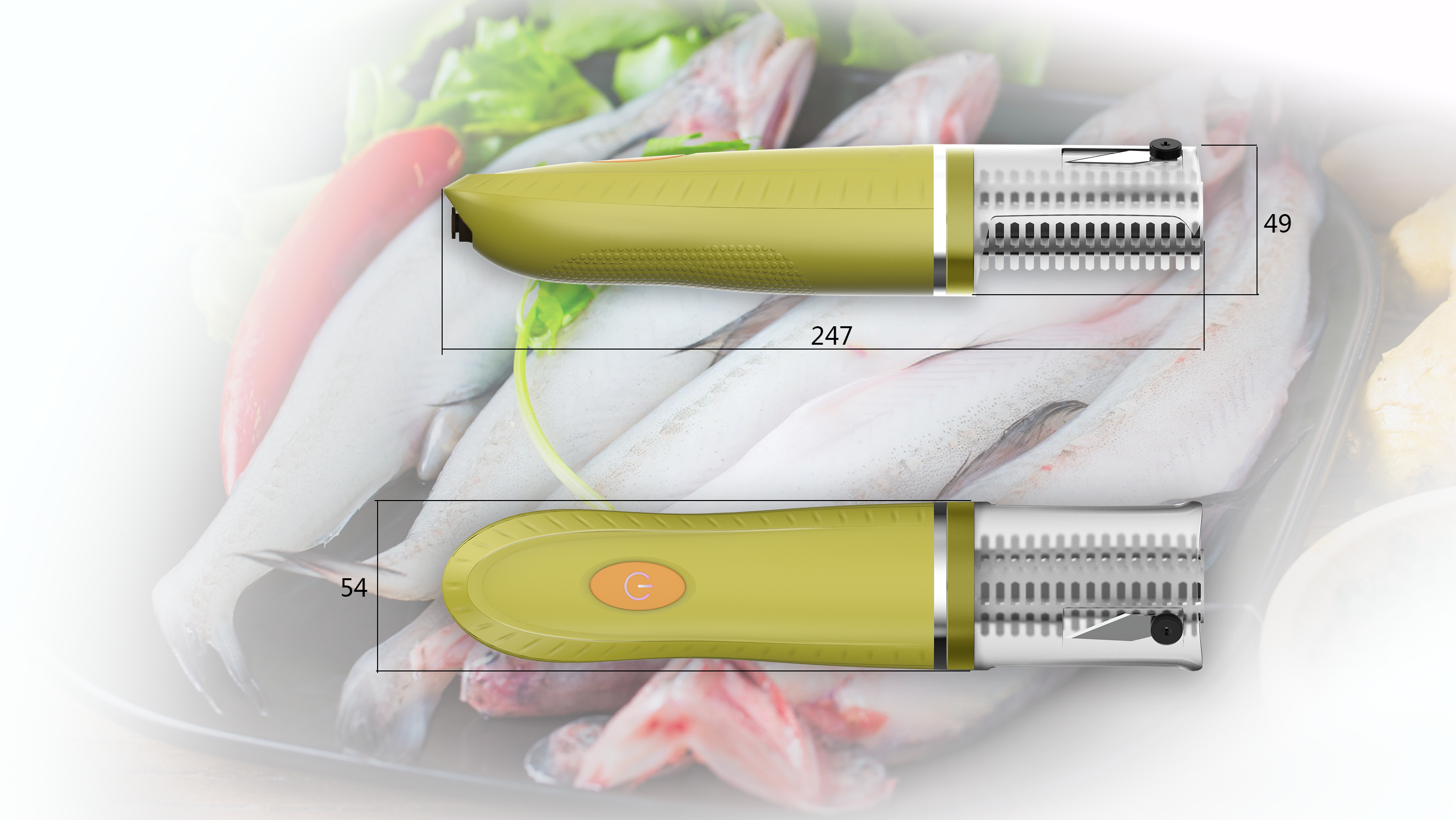 scale，small home appliances，industrial design，product design，Fish scales，human-computer interaction，