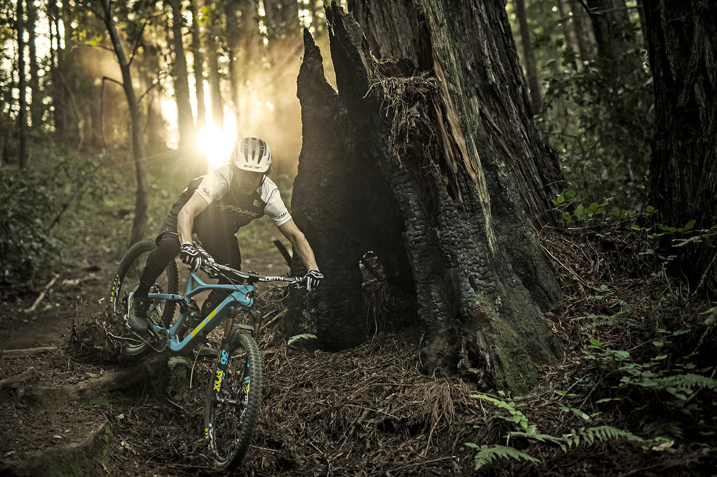 Bicycle，Jordan Recchia，gt，vehicle，