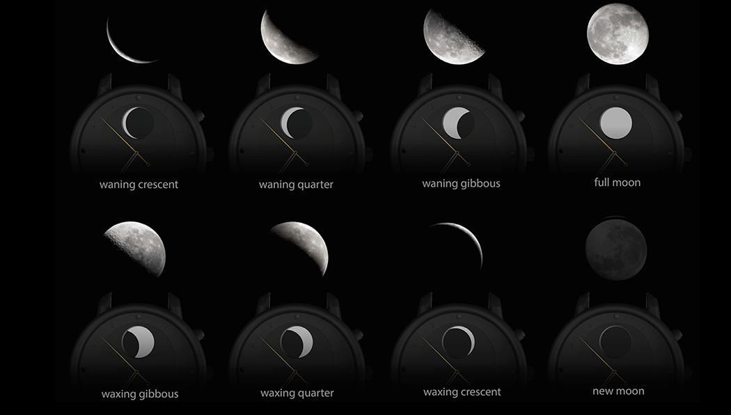 intelligence，delicate，simple，generous，