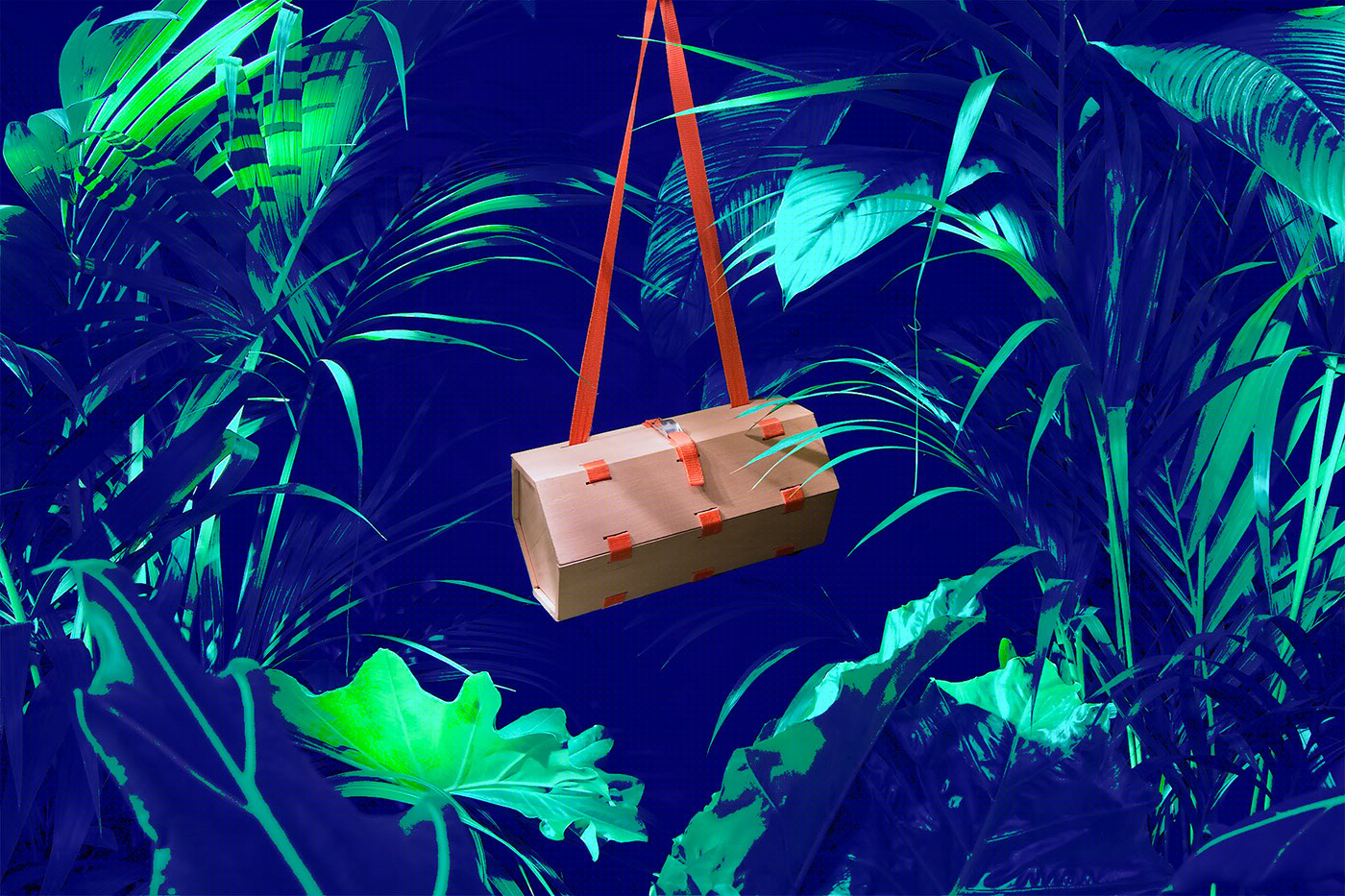 Renaud Meunier，tool kit，Renaud Meunier，Cell-box，Nylon rope，Beech wood，