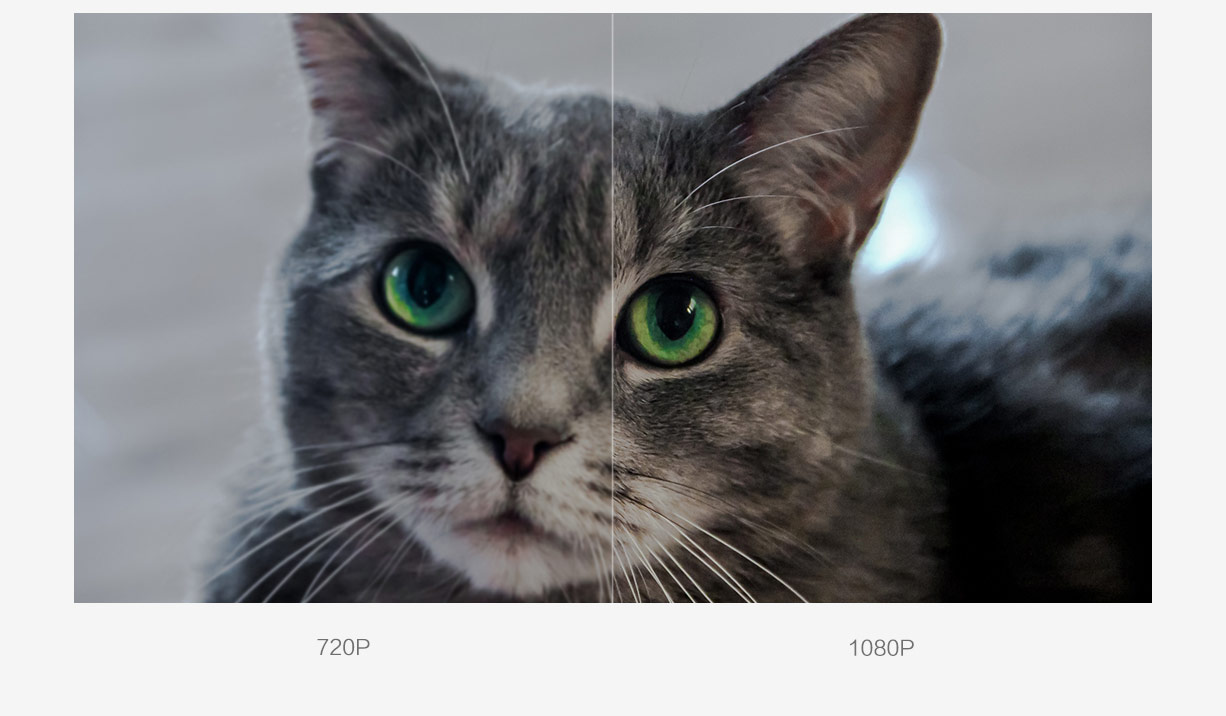 millet，Smart camera，Digital，product design，