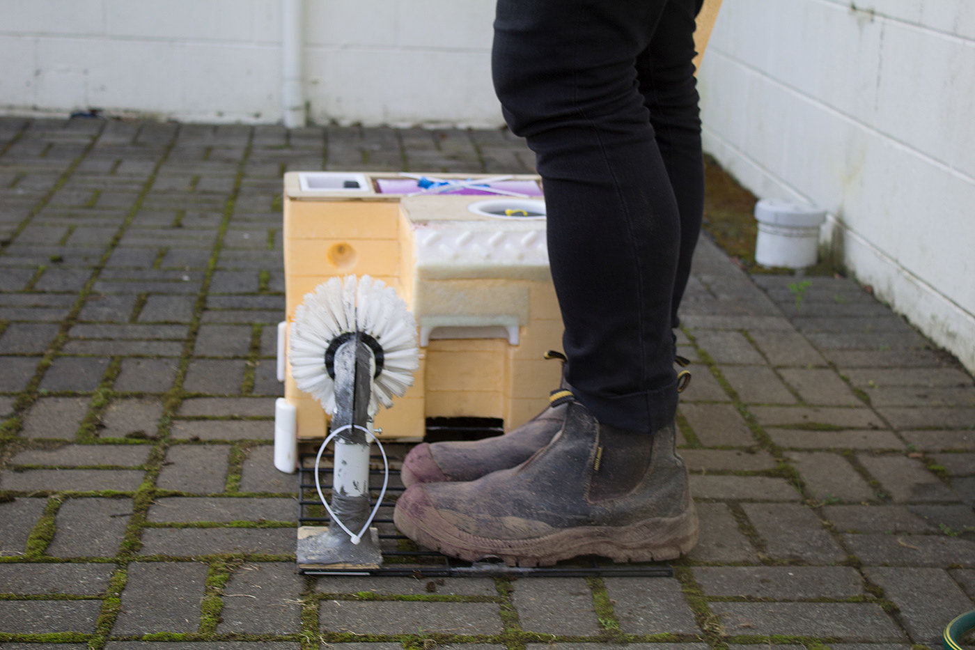 farm，sketch，rinse，Work shoes，Jacson3，