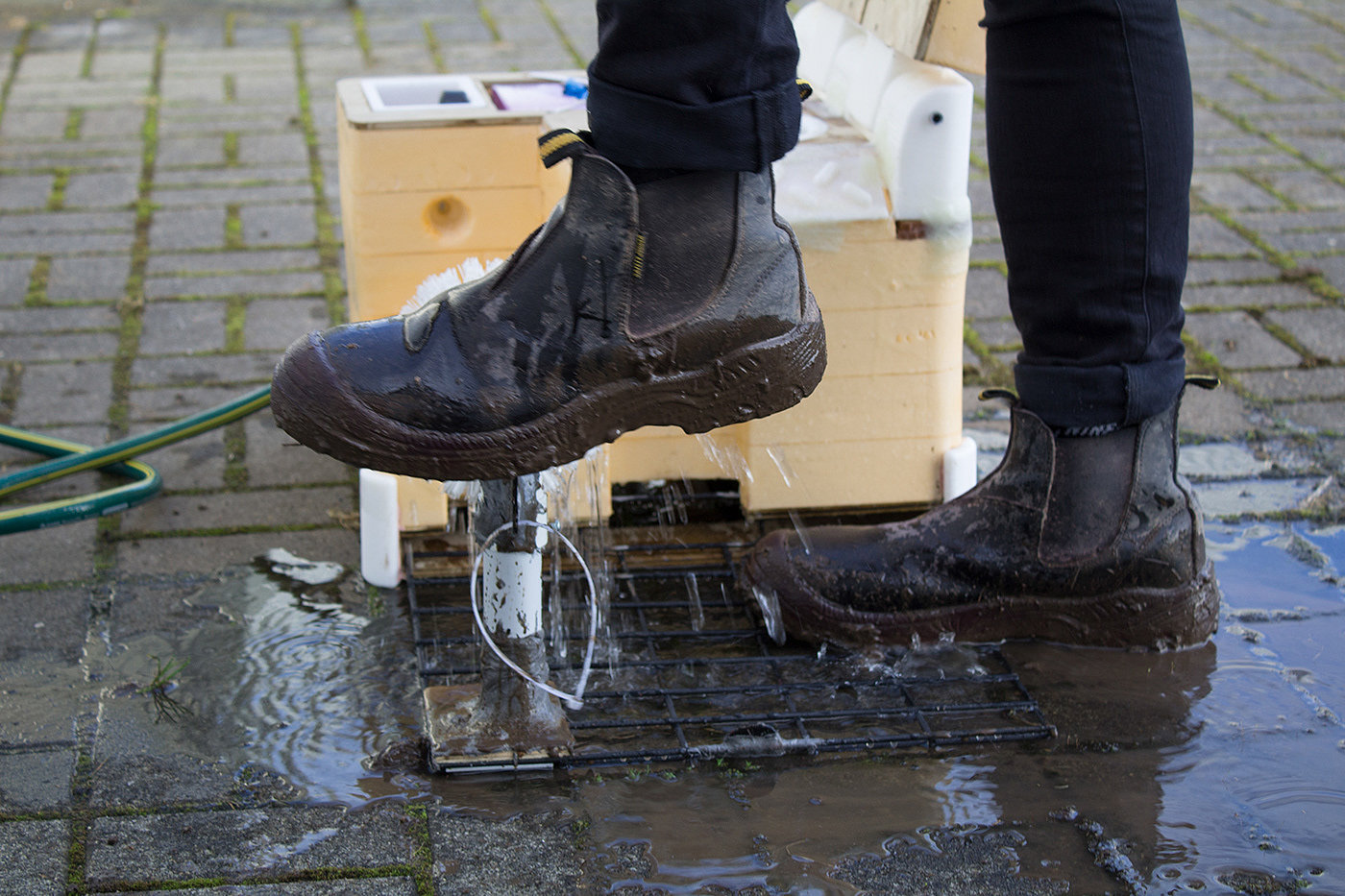 farm，sketch，rinse，Work shoes，Jacson3，